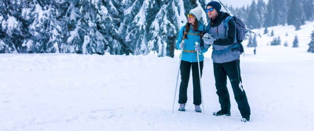 honeymoon special tours 3