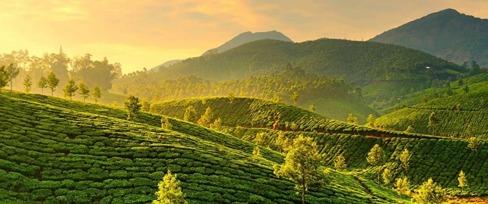 kerala 2