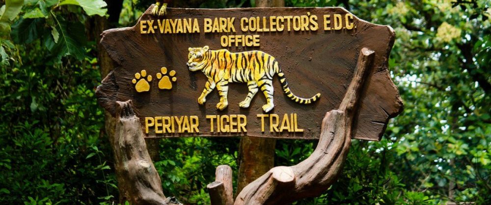 kerala 3