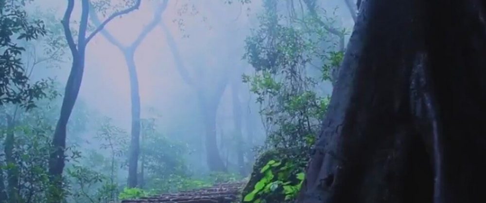 maharashta tours 3