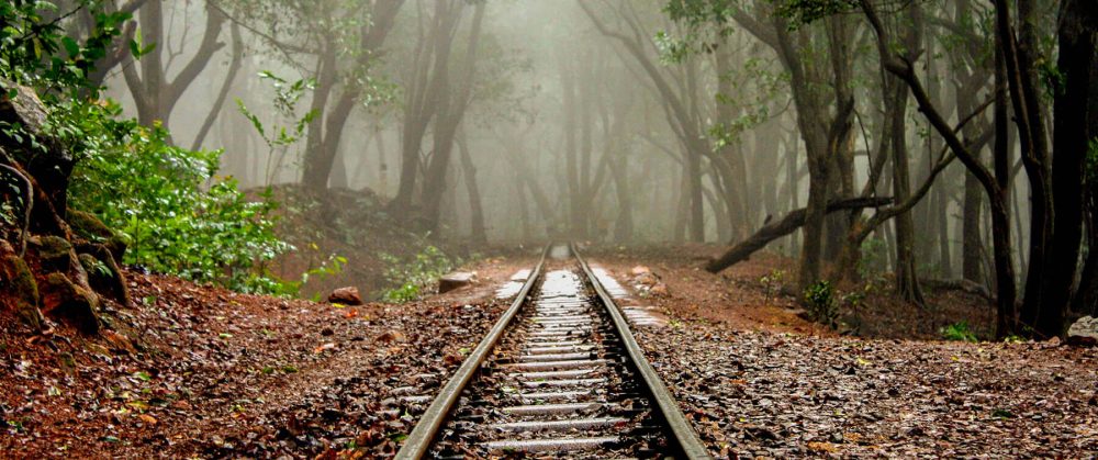 maharashta tours 4